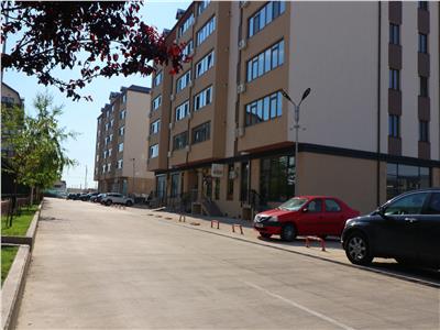 Apartament cu 1 camera pentru Investitie, bloc nou, Popas Pacurari