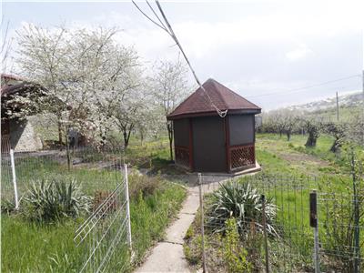 Proprietate unica in Bucium Barnova