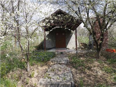 Proprietate unica in Bucium Barnova