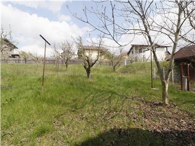 Proprietate unica in Bucium Barnova