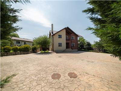 Casa deosebita, 265 MP + anexa cu sauna 80mp, Bucium  Shamrock Inn