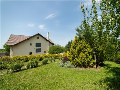 Casa deosebita, 265 MP + anexa cu sauna 80mp, Bucium  Shamrock Inn