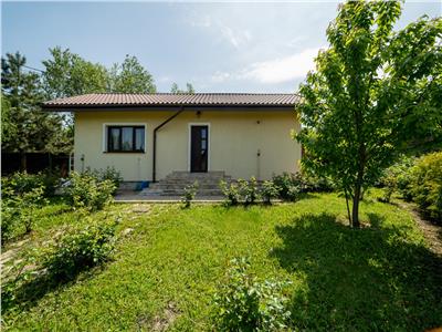Casa deosebita, 265 MP + anexa cu sauna 80mp, Bucium  Shamrock Inn