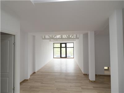 Casa deosebita, pretabila comercialbirouri, 470 MP, Pacurari  Petru Poni