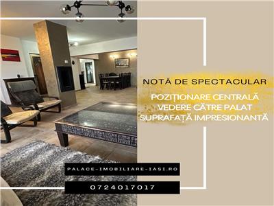 Pozitionare Centrala, Vedere catre Palat, Suprafata Impresionanta