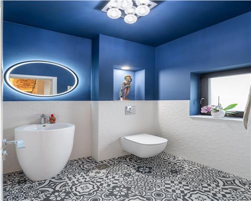 Vila superba de vanzare in zona Bucium