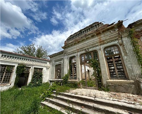 Bijuterie Arhitecturala din Secolul XIX de Vanzare in Iasi