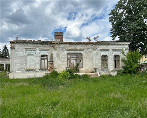 Bijuterie Arhitecturala din Secolul XIX de Vanzare in Iasi