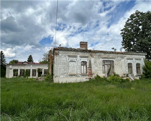 Bijuterie Arhitecturala din Secolul XIX de Vanzare in Iasi