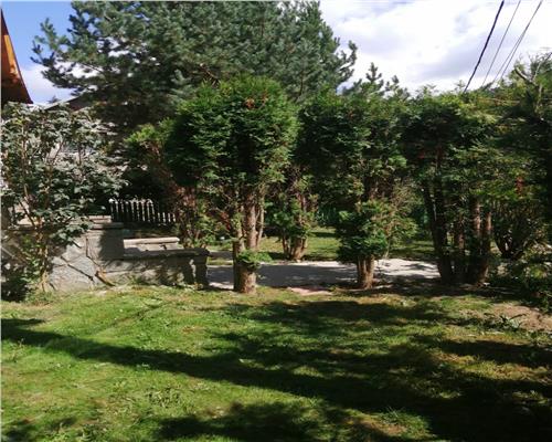 Vila superba de vanzare| UltraCentral Sinaia|