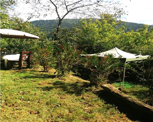 Vila superba de vanzare| UltraCentral Sinaia|