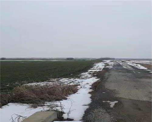 Teren agricol 100 ha, comasat 100%, categoria A1