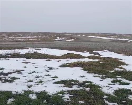 Teren agricol 100 ha, comasat 100%, categoria A1