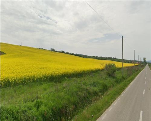 Teren agricol 64 ha, 800 m deschidere