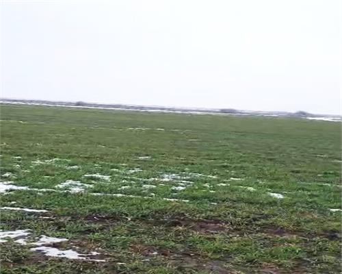 Teren agricol 100 ha| Comasat 100%| Categoria A1