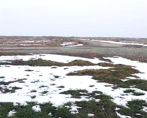 Teren agricol 100 ha| Comasat 100%| Categoria A1