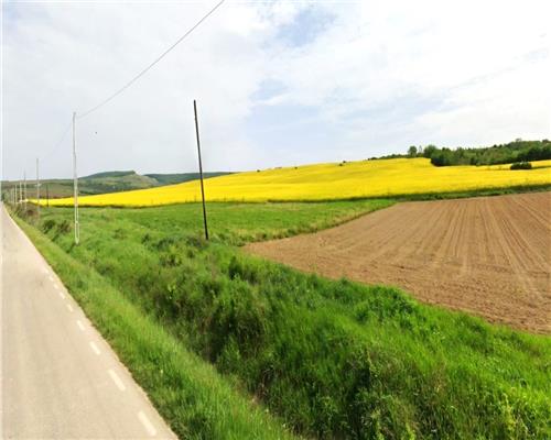 Teren agricol 64 ha comasat| Deschidere 800 m la drum comunal | Utilitati disponibile