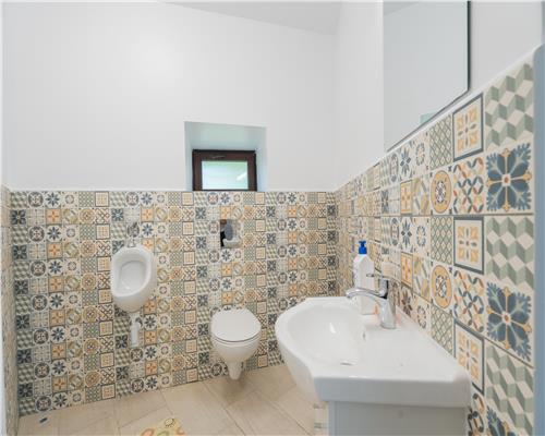 Proprietate unicat  Casa tip DOM ,cu  acces direct la lac, zona Dorobanti, Iasi.