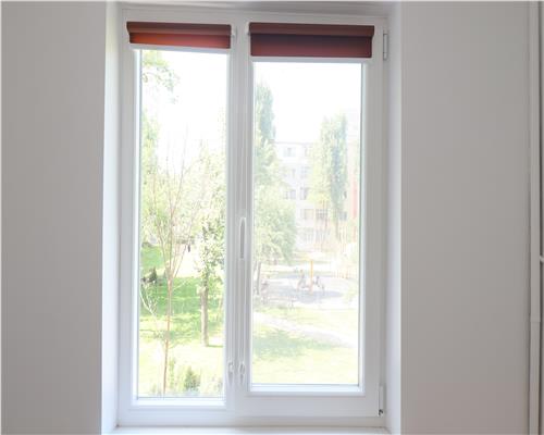 Camera camin Alexandru cel Bun