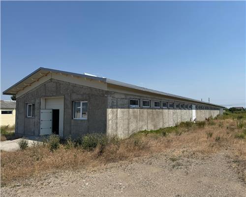 Hale industriale, fabrica de mobila la cheie de vanzare, zona Horlesti
