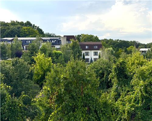 Vila eleganta de inchiriat in Copou