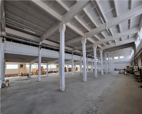 Hala industriala de vanzare in Harlau, 11.500 mp utili, teren 44.268 mp