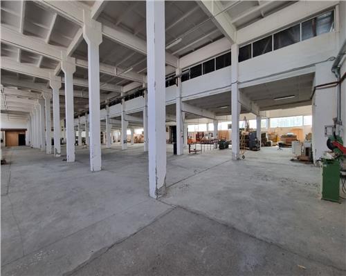 Hala industriala de vanzare in Harlau, 11.500 mp utili, teren 44.268 mp