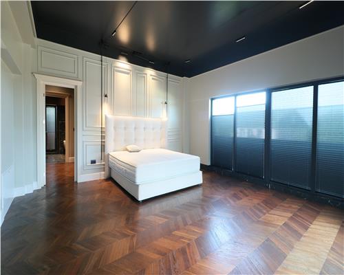 Penthouse de 500 mp, Parcul Expozitiei, Copou