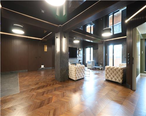 Penthouse de 500 mp, Parcul Expozitiei, Copou