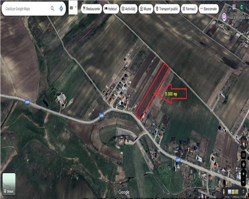 Teren intravilan 5.000 mp pentru casa – Popricani sat Vinatori
