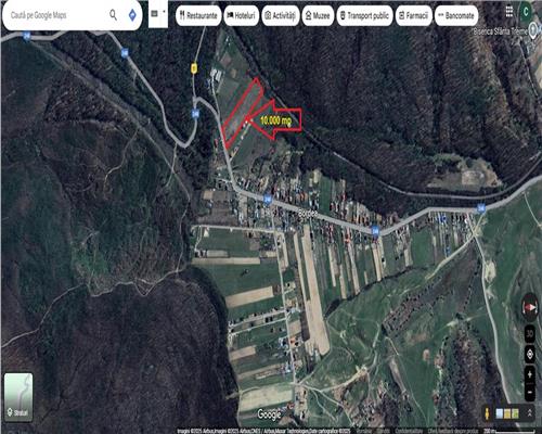 Oportunitate dezvoltare rezidentiala/agrement,  teren 10000 mp Bordea Iasi