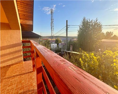 Casa spatioasa si pozitie excelenta pensiunea Iriss V. Lupului