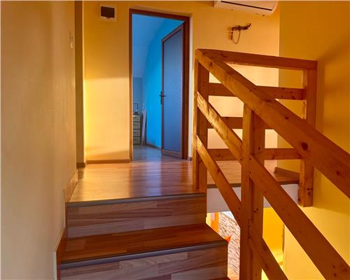 Casa spatioasa si pozitie excelenta pensiunea Iriss V. Lupului