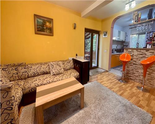 Casa spatioasa si pozitie excelenta pensiunea Iriss V. Lupului