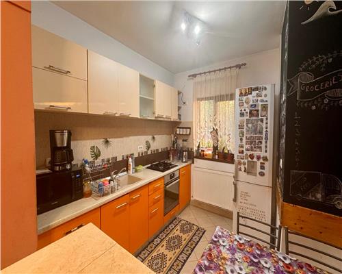 Casa spatioasa si pozitie excelenta pensiunea Iriss V. Lupului
