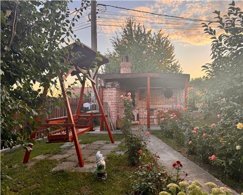 Casa spatioasa si pozitie excelenta pensiunea Iriss V. Lupului