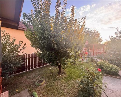Casa spatioasa si pozitie excelenta pensiunea Iriss V. Lupului