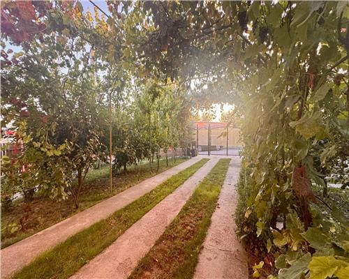 Casa spatioasa si pozitie excelenta pensiunea Iriss V. Lupului