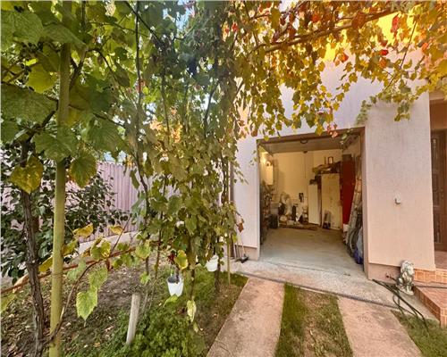 Casa spatioasa si pozitie excelenta pensiunea Iriss V. Lupului