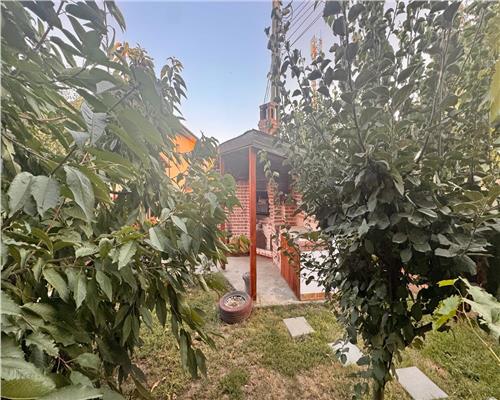 Casa spatioasa si pozitie excelenta pensiunea Iriss V. Lupului