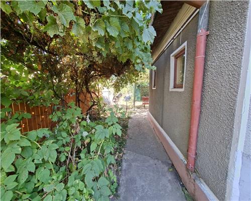 Teren cu casa  zona Andronache  ideal pentru cei care cauta o oaza de liniste intrun oras aglomerat
